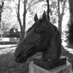 TETE DE CHEVAL LANCY 2