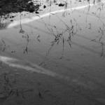 WATER REFLET 11