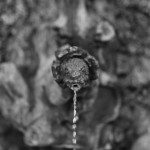 detail fontaine serpent